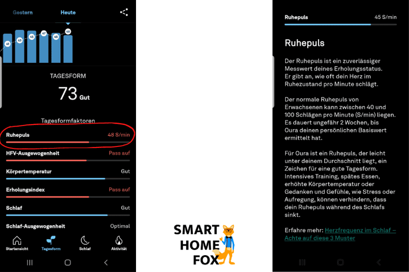 Anzeige des durch den Aura Ring gemessenen Ruhepuls in der Oura-App